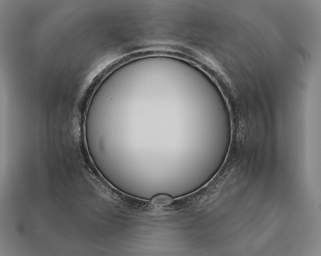 X0000113171360200909181823