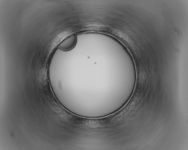 X0000113171362200909181823
