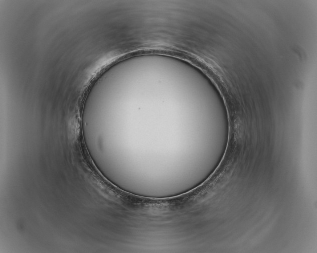 X0000113171363200909181823