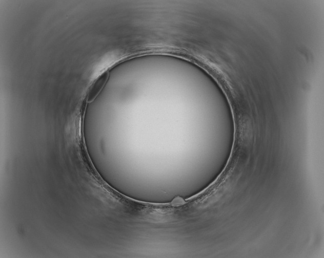 X0000113171365200909181823