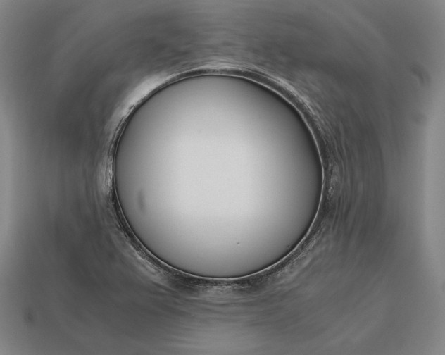 X0000113171367200909181823