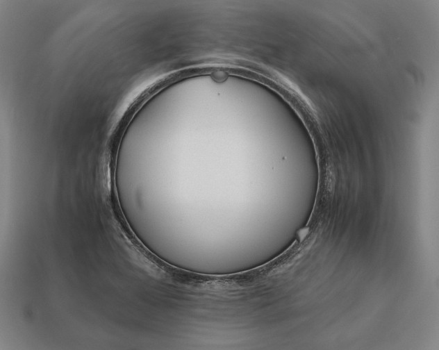 X0000113171368200909181823