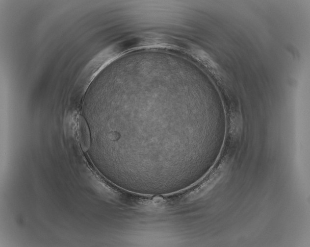 X0000113171369200909181823