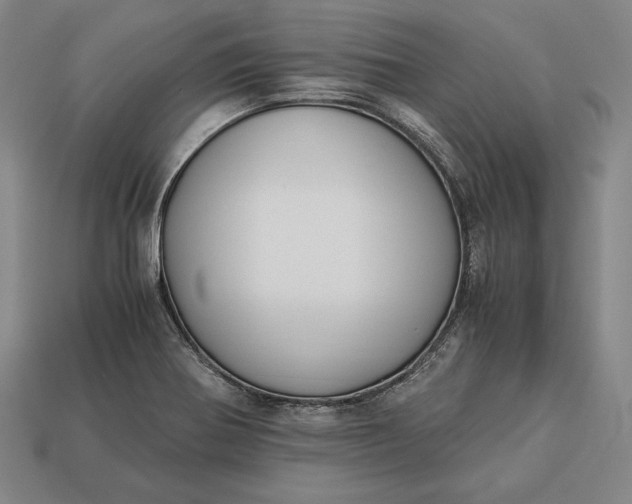 X0000113171370200909181823