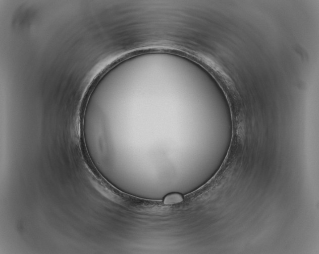 X0000113171372200909181823
