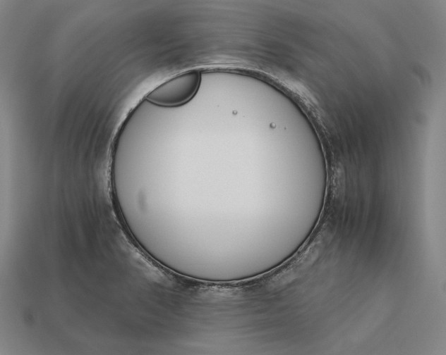 X0000113171374200909181823