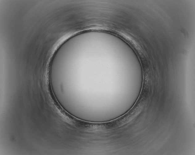 X0000113171375200909181823
