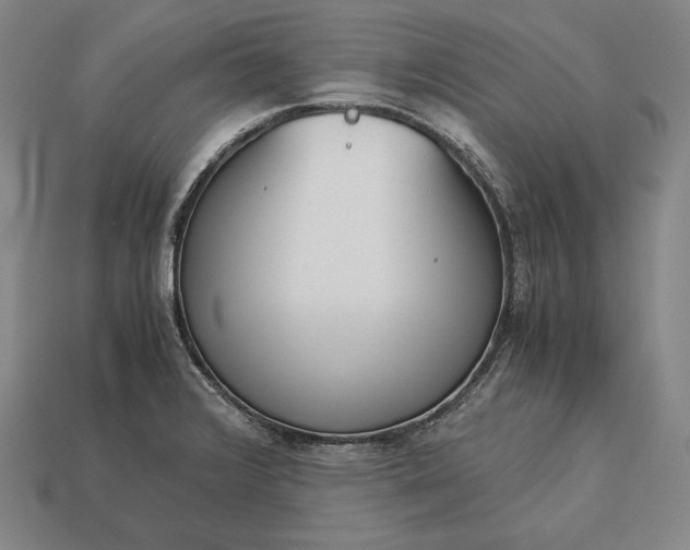 X0000113171376200909181823