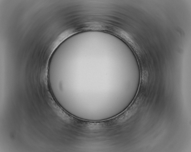 X0000113171378200909181823