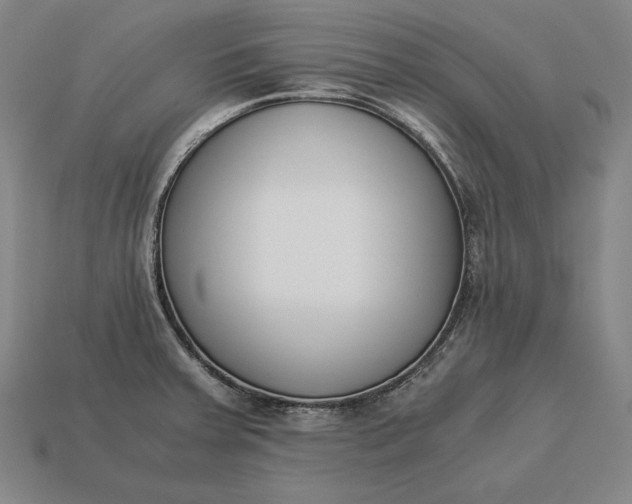 X0000113171379200909181823