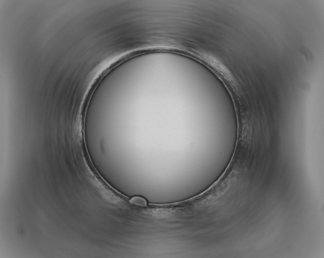 X0000113171380200909181823