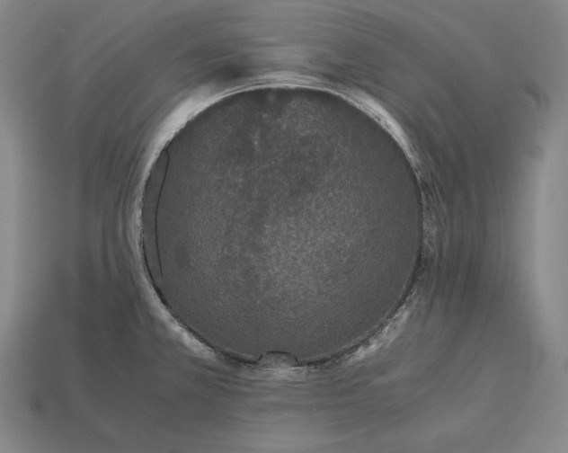 X0000113171381200909181823