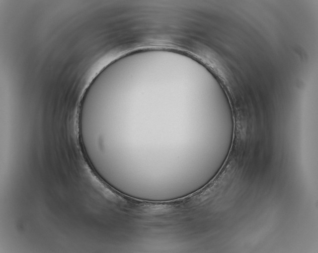 X0000113171382200909181823