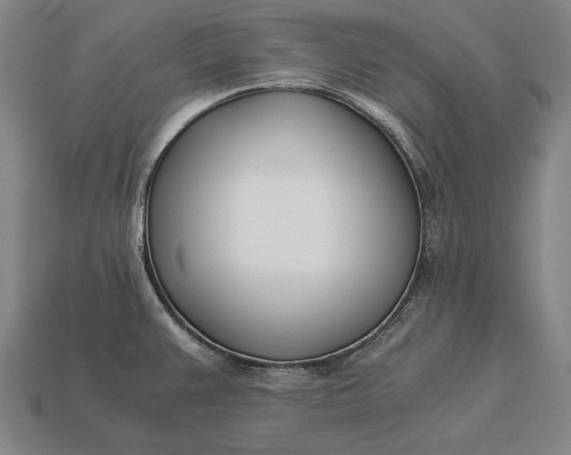 X0000113171383200909181823