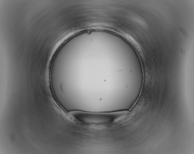 X0000113171384200909181823