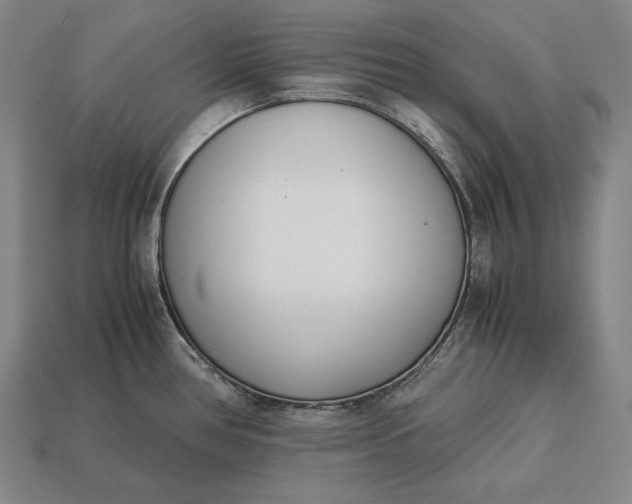 X0000113171386200909181823