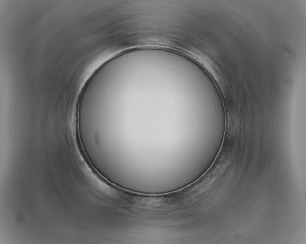 X0000113171387200909181823