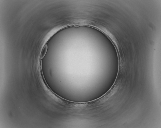 X0000113171389200909181823