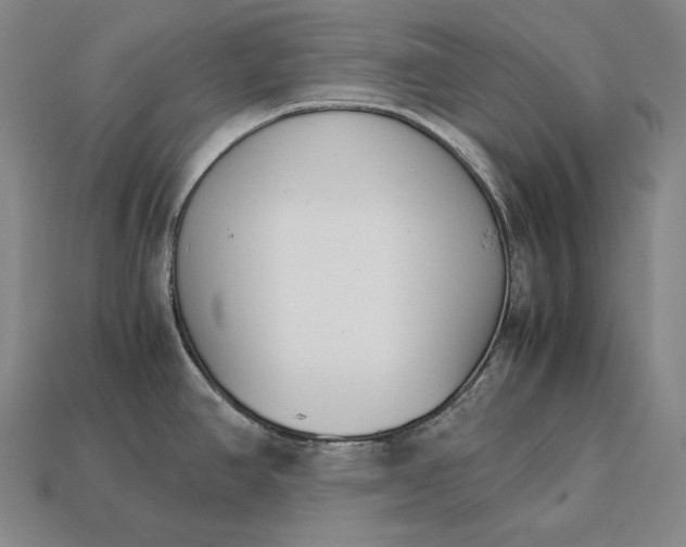 X0000113171390200909181823