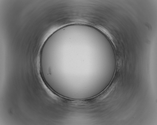 X0000113171391200909181823