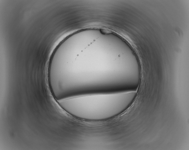 X0000113171392200909181823