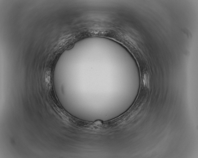 X0000113171396200909181822