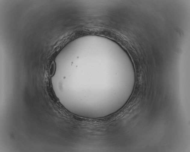 X0000113171397200909181822
