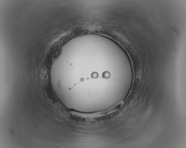 X0000113171398200909181822