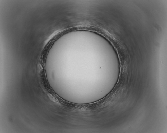 X0000113171400200909181822