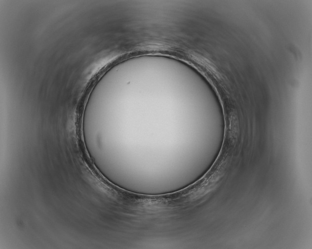 X0000113171404200909181822