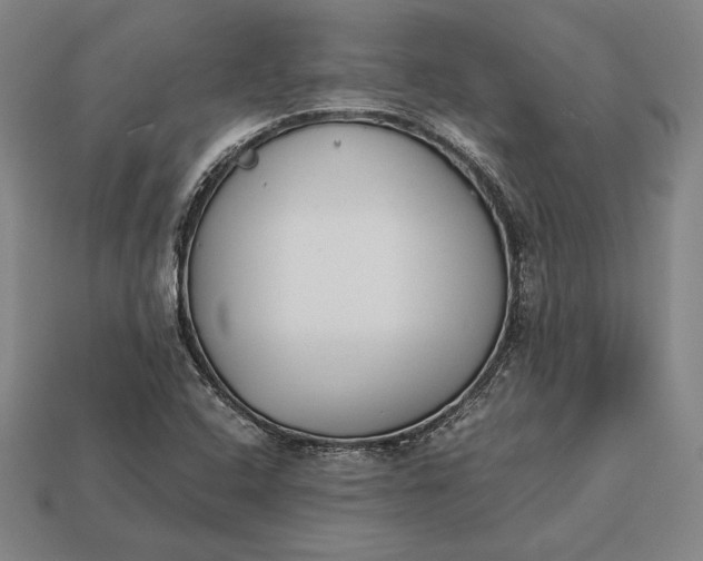 X0000113171408200909181822