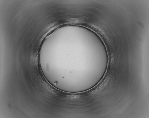 X0000113171409200909181822