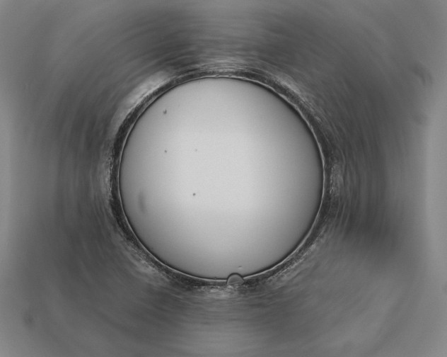 X0000113171410200909181822