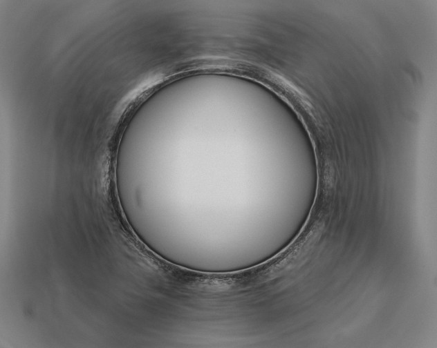 X0000113171411200909181822