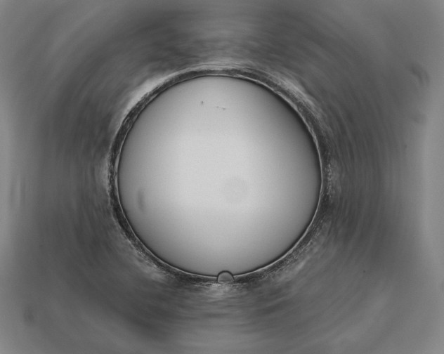 X0000113171412200909181822