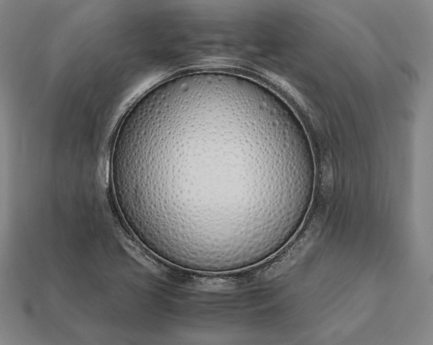 X0000113171413200909181822