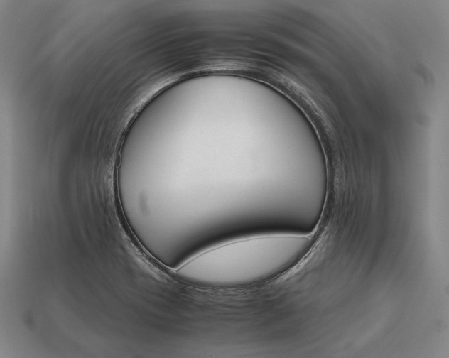 X0000113171417200909181822
