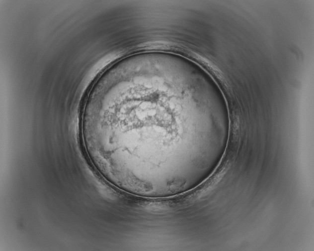 X0000113171418200909181822