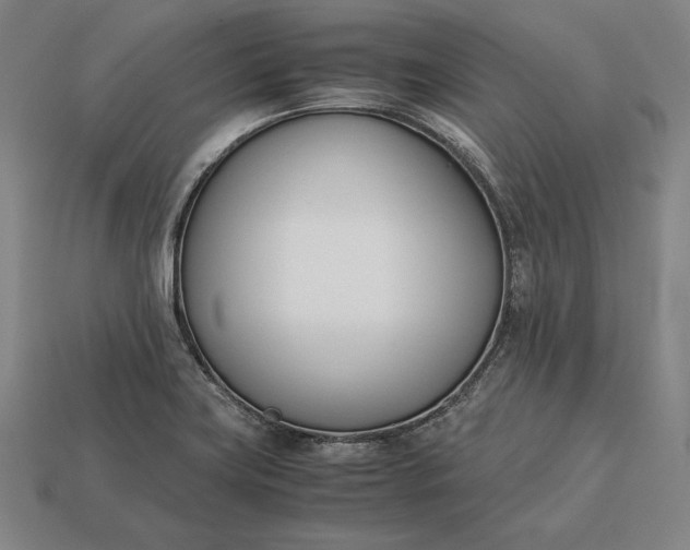 X0000113171419200909181822