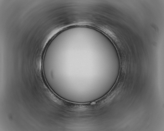 X0000113171420200909181822