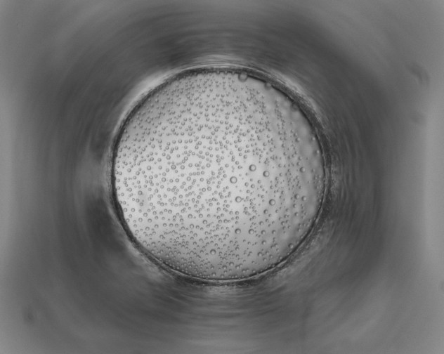 X0000113171421200909181822