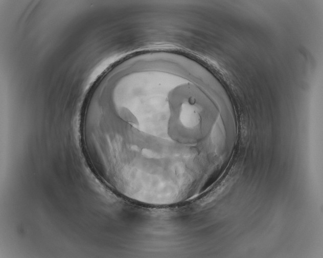 X0000113171422200909181822