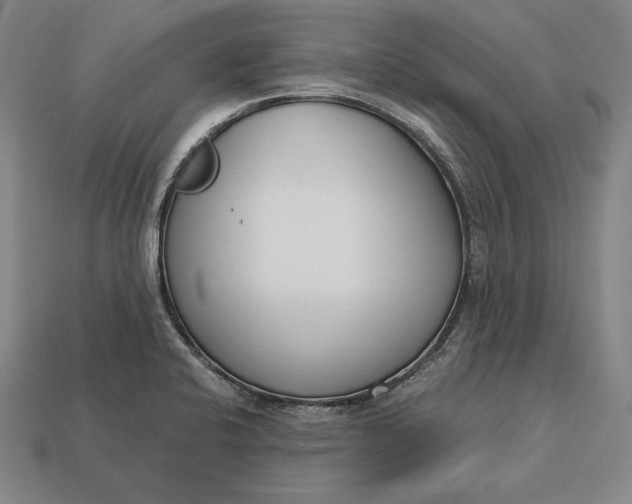 X0000113171424200909181822