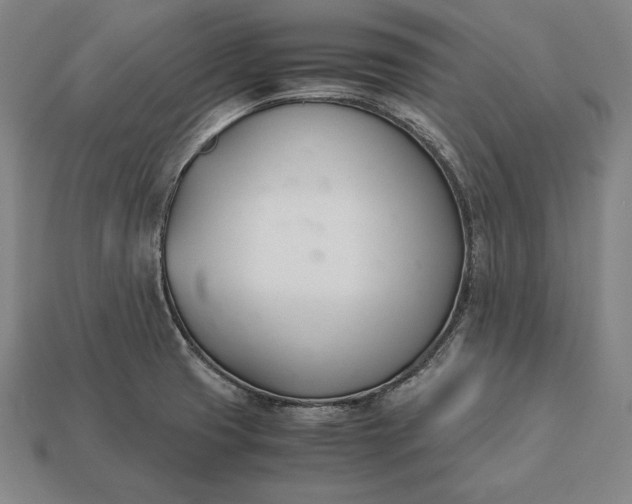 X0000113171425200909181823