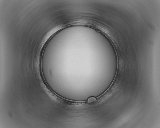 X0000113171426200909181823