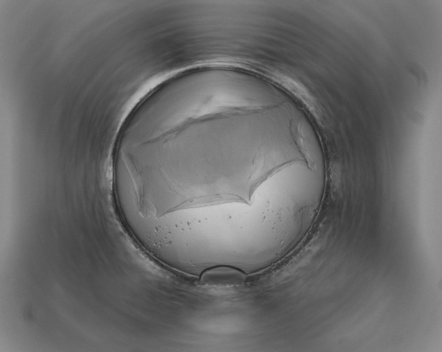 X0000113171428200909181823