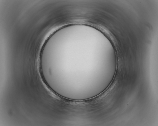 X0000113171432200909181823