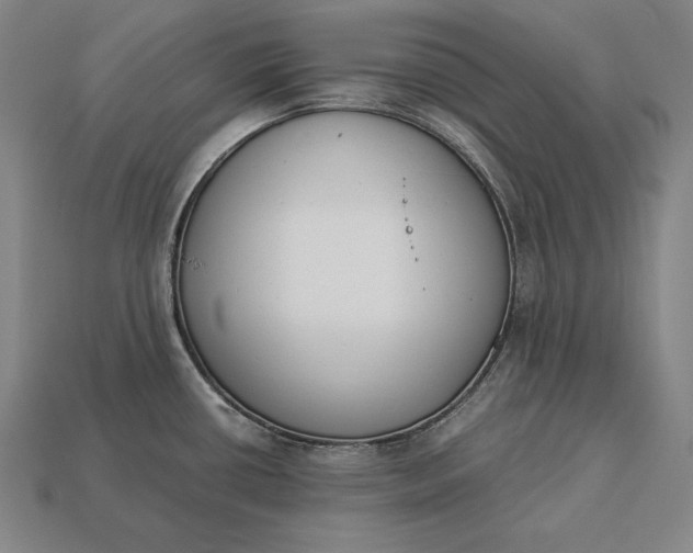 X0000113171434200909181823