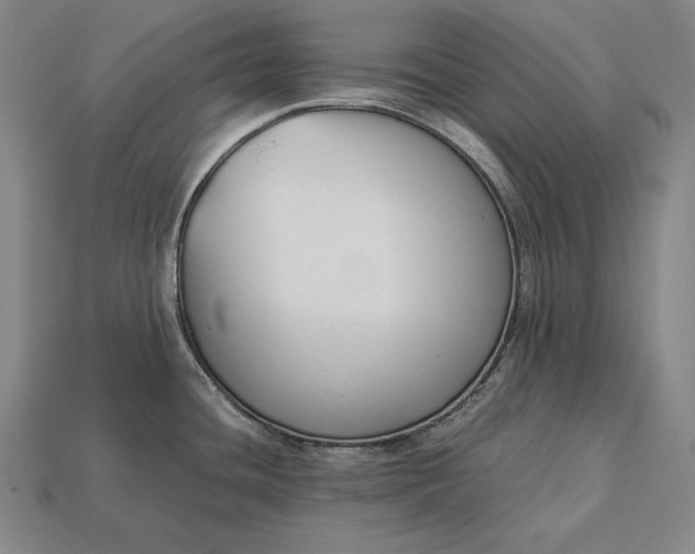 X0000113171436200909181823