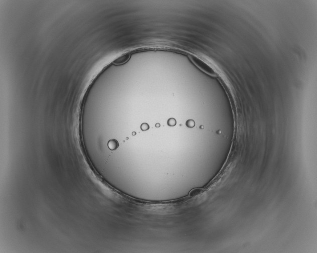 X0000113171437200909181823